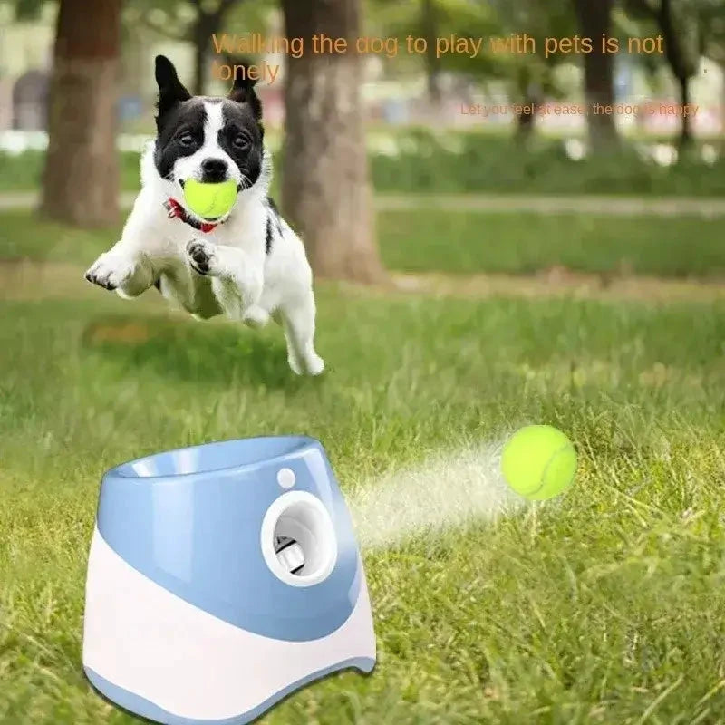 Lanceur automatique de balle pour chiens Montoutou-shop.com, bleu et blanc, jouet interactif avec balle fluo