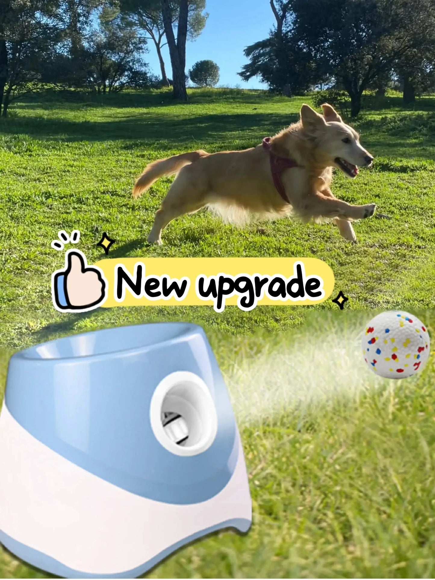 Fatiguez automatic ball launcher for dogs, blue and white, Montoutou-shop.com fetch toy