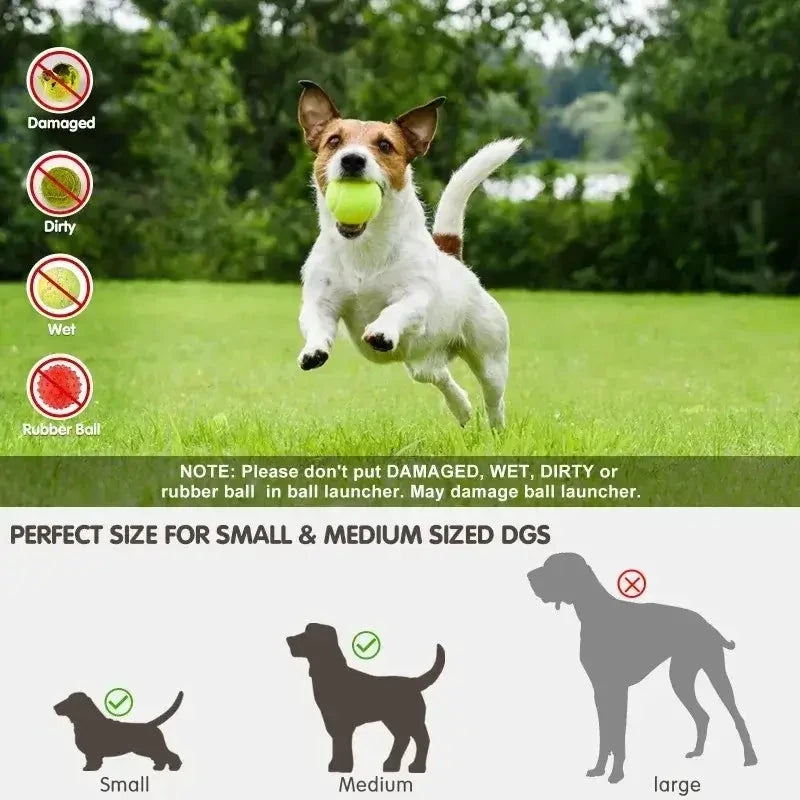 Automatic dog ball launcher; jumping dog on grass with a green rubber ball