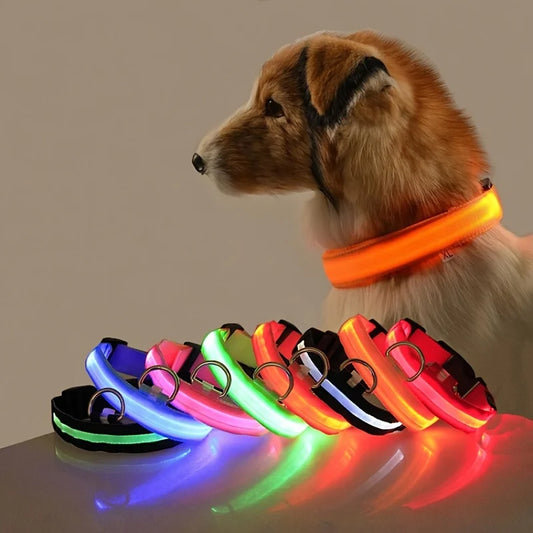 Laisse LED clignotante en nylon pour chien – Sécurité nocturne