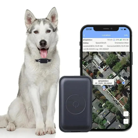 Traqueur GPS pour Animaux de Compagnie – Collier de Localisation Réglable, Suivi en Temps Réel, Appel Vocal, AGPS – Chiens & Chats