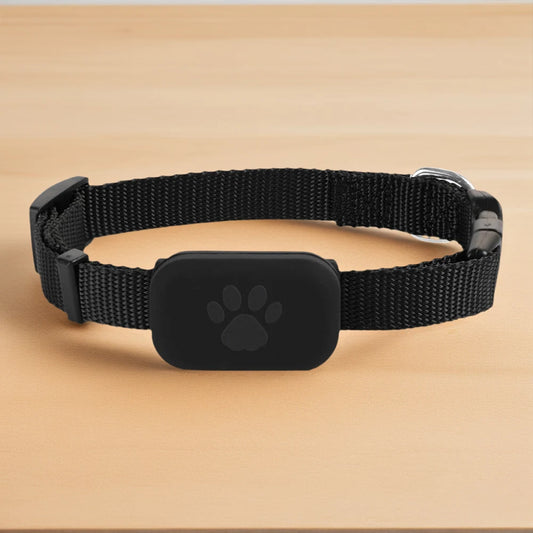 Traqueur GPS pour Chiens et Chats | Collier Réglable & Localisateur Intelligent