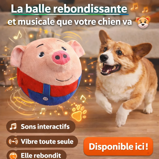 PetPulse Balle Musicale pour chien interactive, balle rebondissante et résistante, couleur rose et bleu